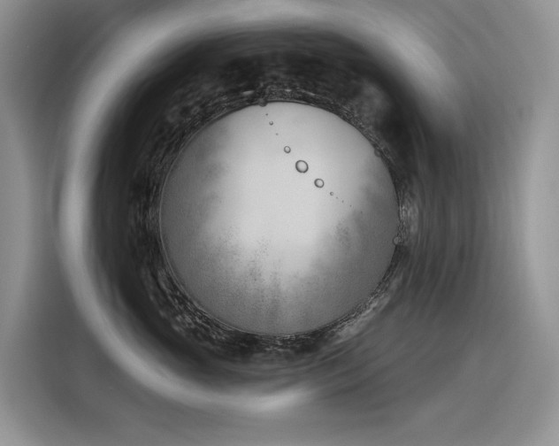 X0000116380765200912021519