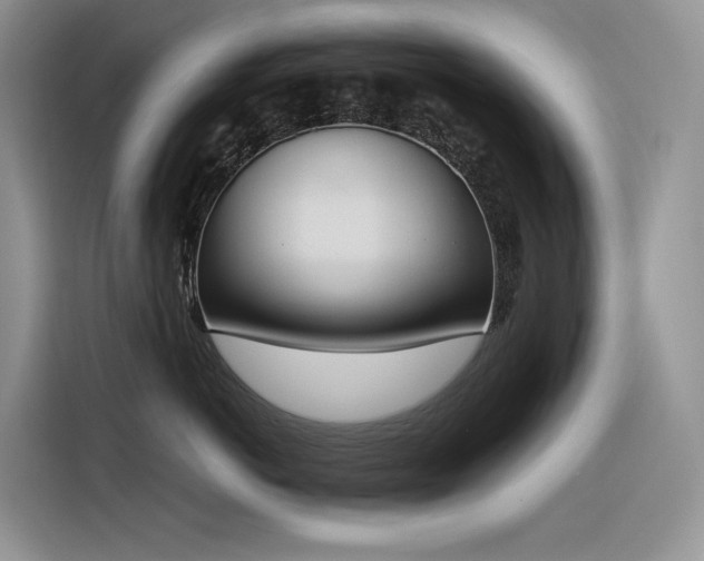 X0000116380766200912021519