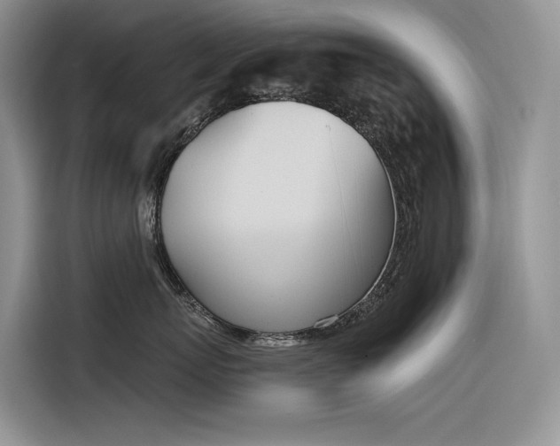 X0000116380767200912021519
