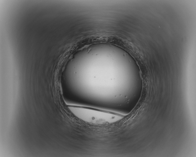 X0000116380769200912021519
