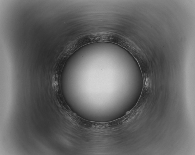 X0000116380771200912021519