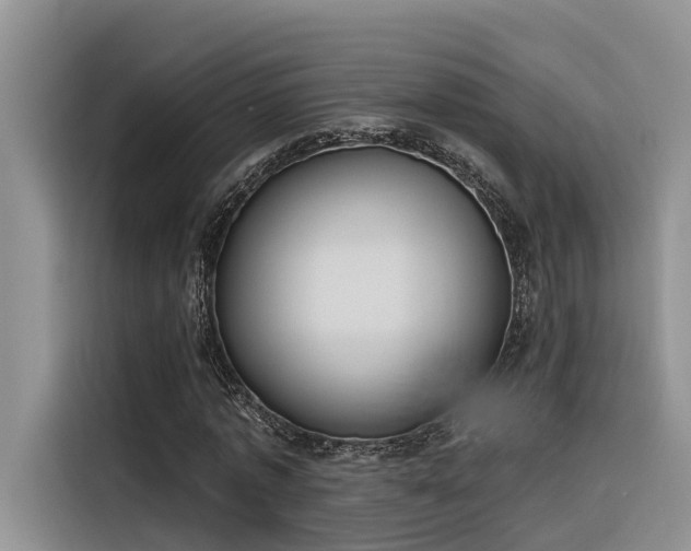 X0000116380773200912021519
