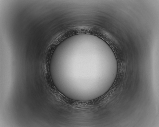 X0000116380774200912021519