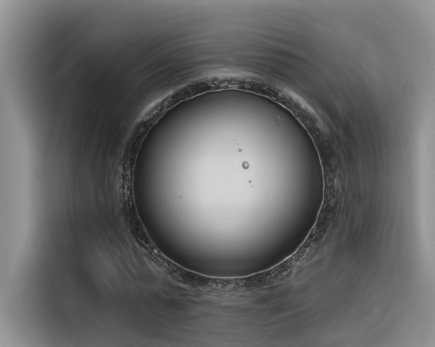 X0000116380775200912021519