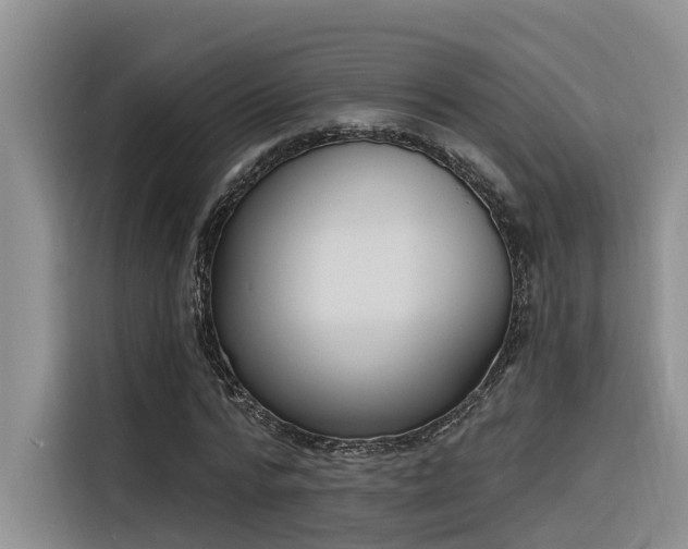 X0000116380776200912021519