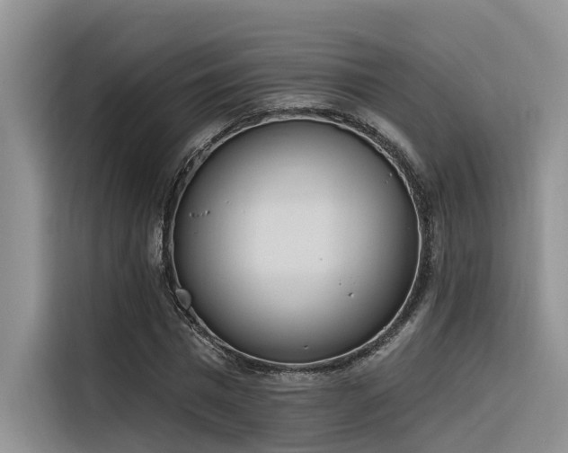 X0000116380777200912021519
