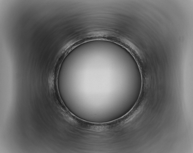 X0000116380778200912021519