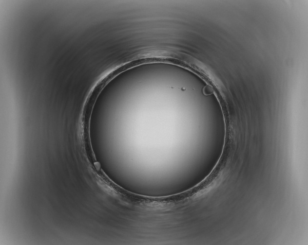 X0000116380779200912021519