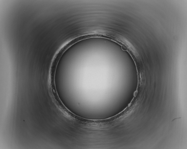 X0000116380780200912021519