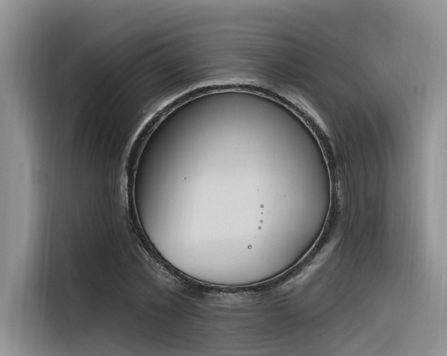 X0000116380781200912021519