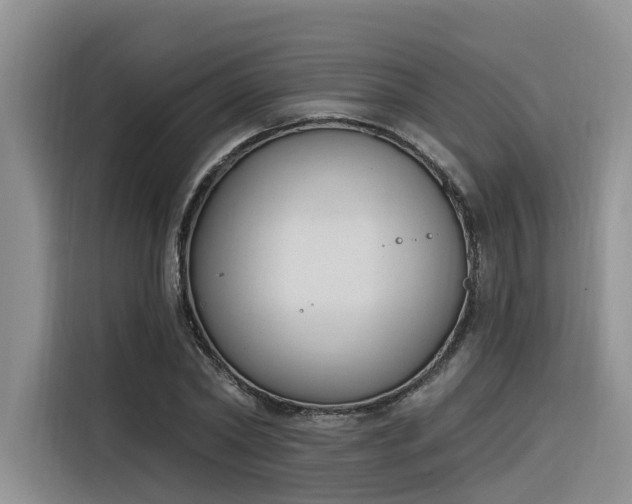 X0000116380782200912021519