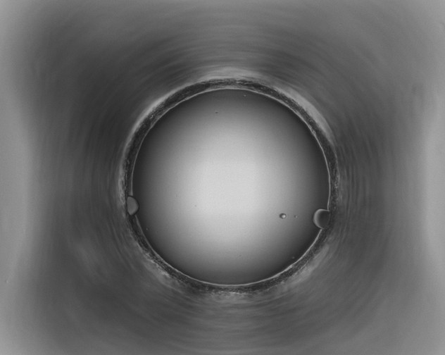X0000116380783200912021519