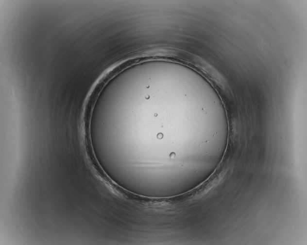 X0000116380784200912021519
