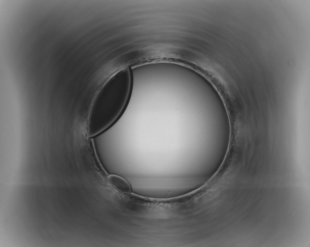 X0000116380785200912021519