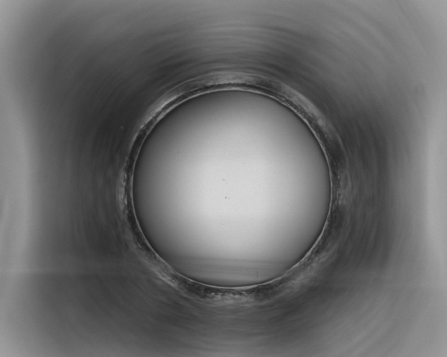 X0000116380786200912021519