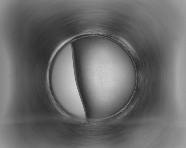 X0000116380788200912021519