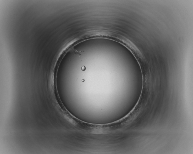 X0000116380790200912021519