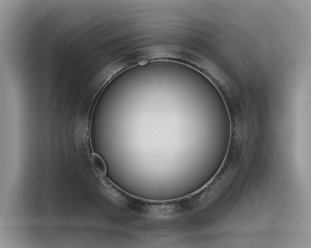 X0000116380793200912021518