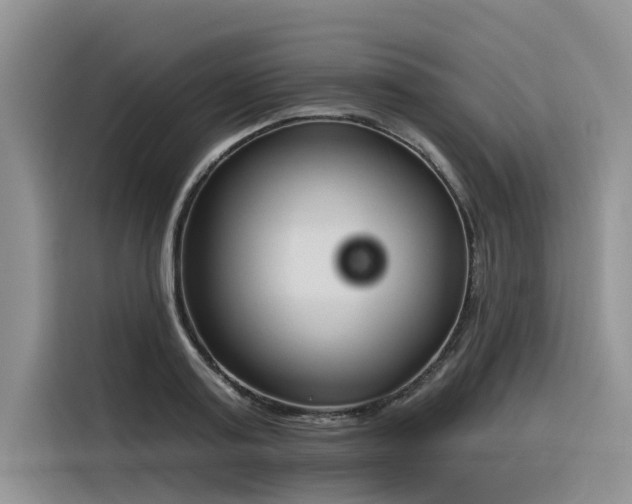 X0000116380795200912021518