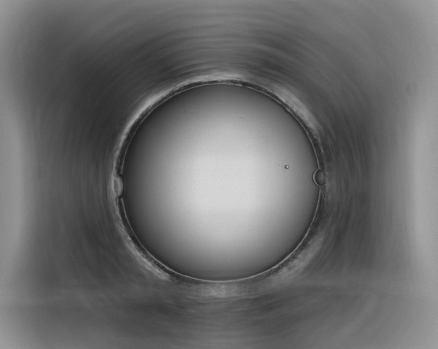 X0000116380797200912021518