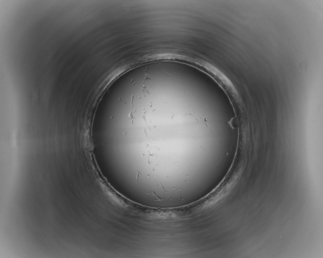 X0000116380801200912021518