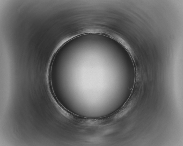 X0000116380803200912021518