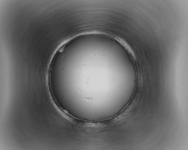 X0000116380805200912021518