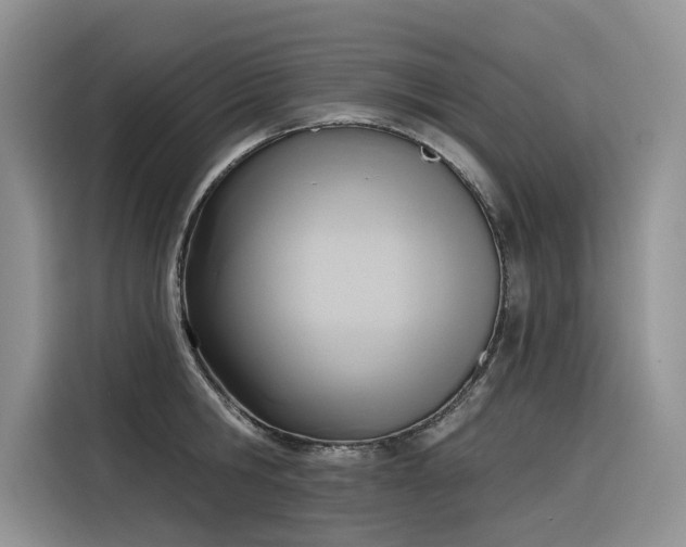 X0000116380806200912021518