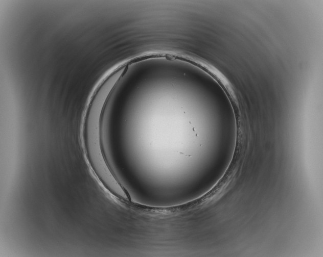 X0000116380807200912021518