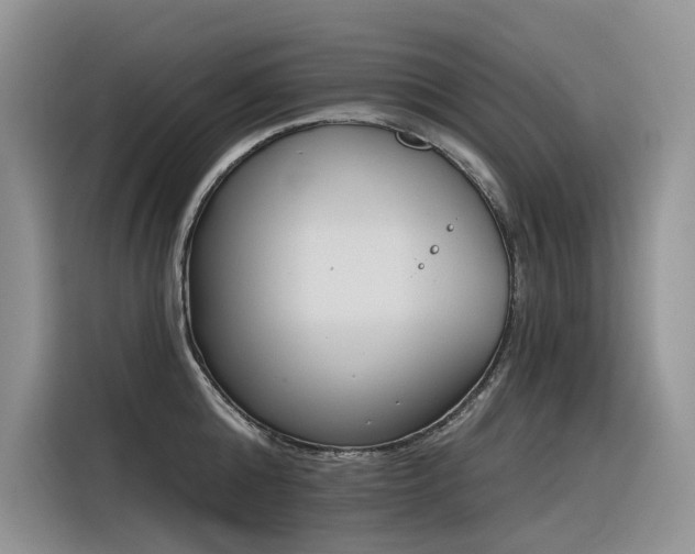X0000116380808200912021518