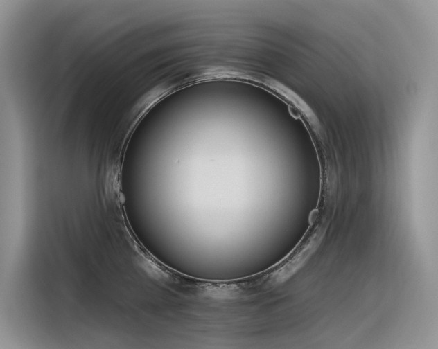 X0000116380809200912021518