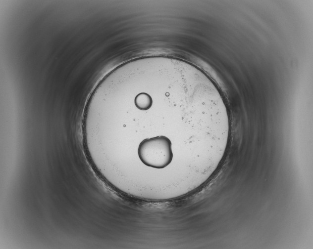 X0000116380810200912021518