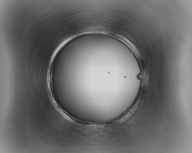 X0000116380812200912021518