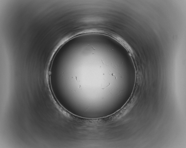 X0000116380813200912021518