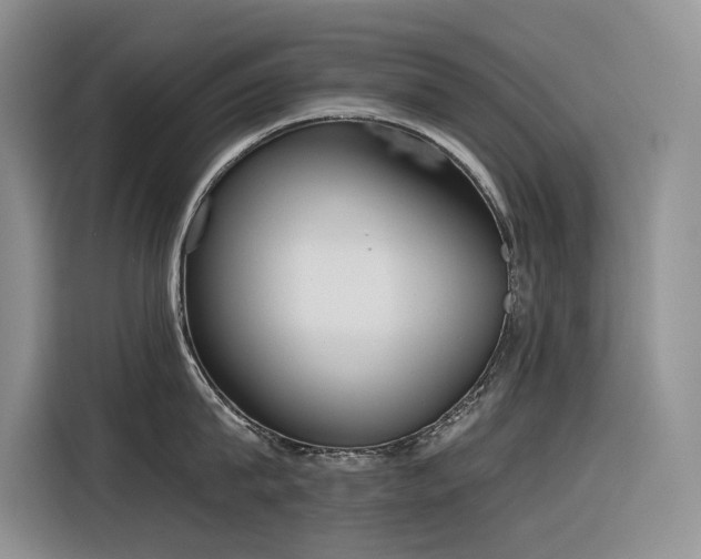 X0000116380815200912021518