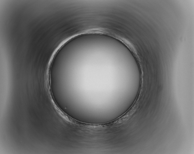 X0000116380816200912021518