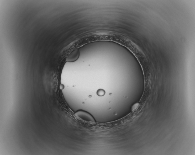 X0000116380821200912021518