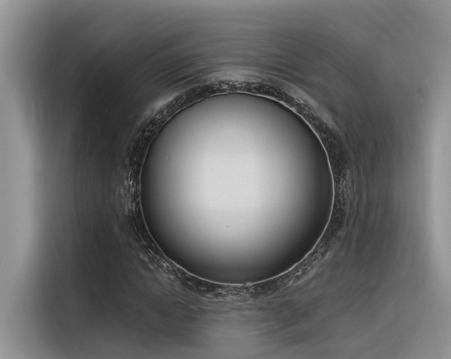 X0000116380822200912021518