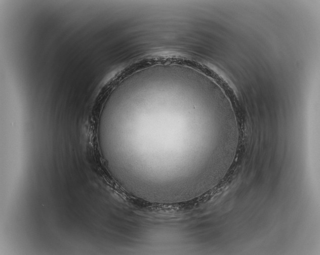 X0000116380823200912021518
