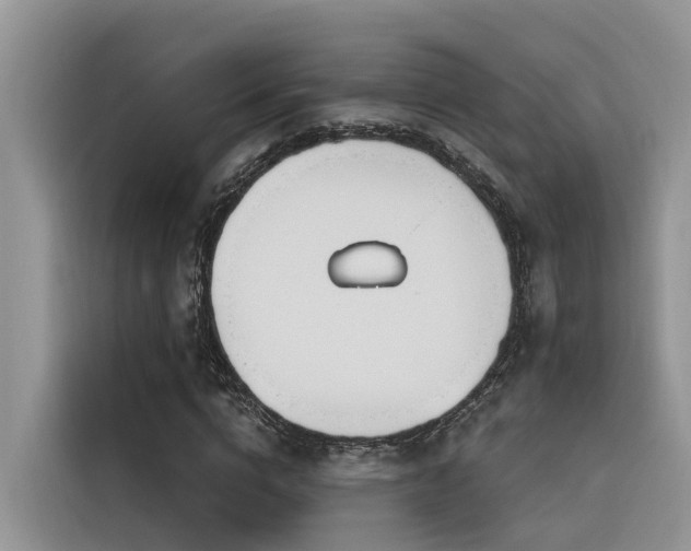 X0000116380824200912021518