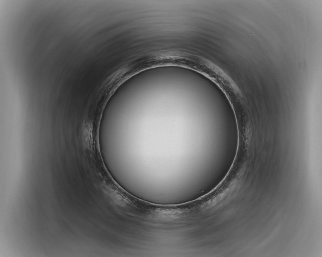 X0000116380825200912021518