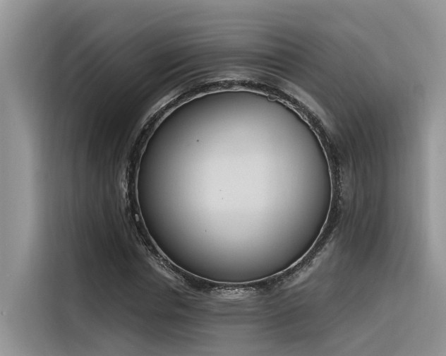 X0000116380826200912021518