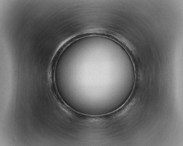 X0000116380830200912021518