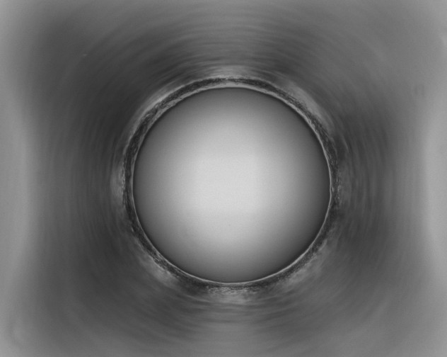 X0000116380831200912021518
