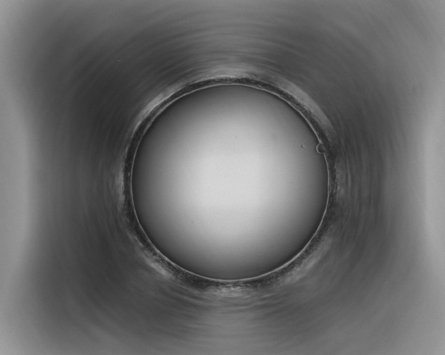 X0000116380834200912021518