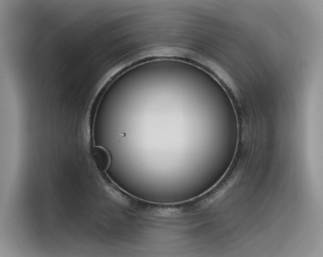 X0000116380837200912021518
