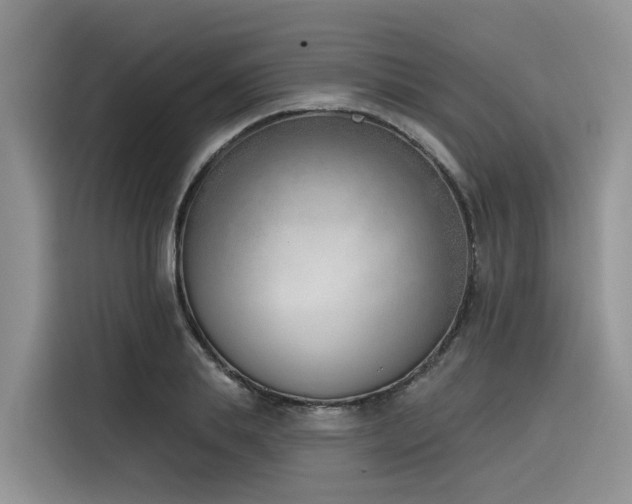 X0000116380839200912021518