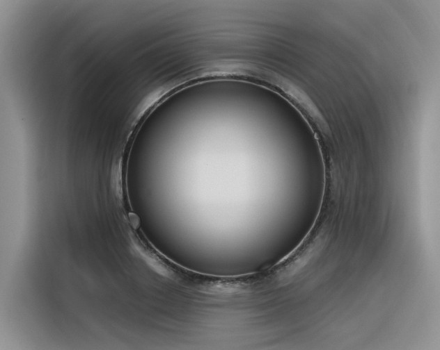 X0000116380842200912021518