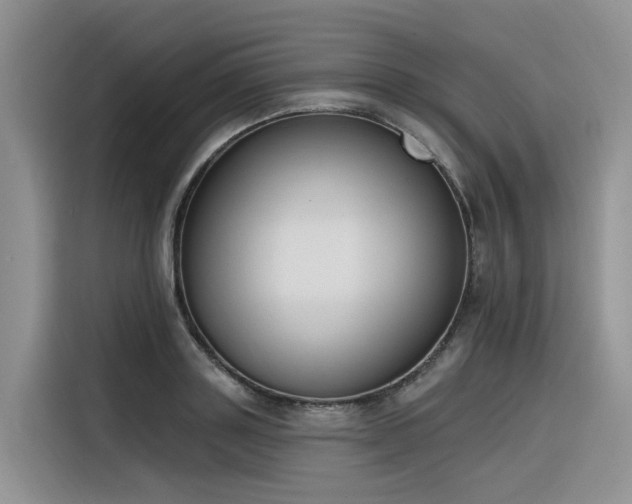 X0000116380843200912021518