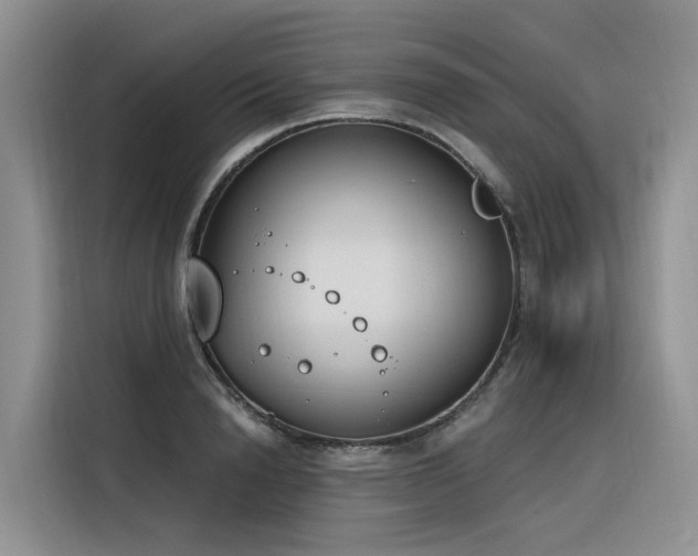 X0000116380846200912021518